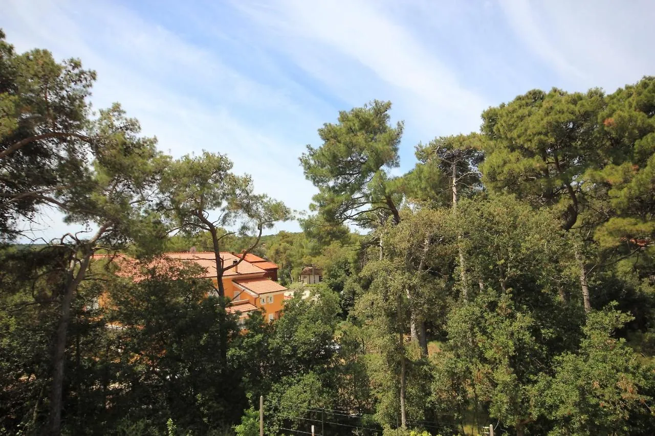 Apartment Artatore 8022d Čunski 0*,  Croazia